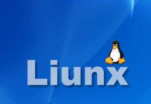 LINUX操作系统